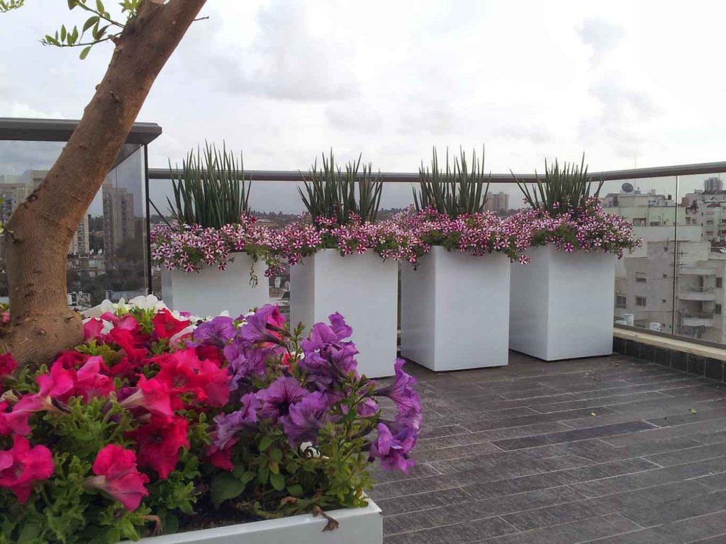 אדניות עם צמחים אשר מחוברים למערכת דישון בגינת גג