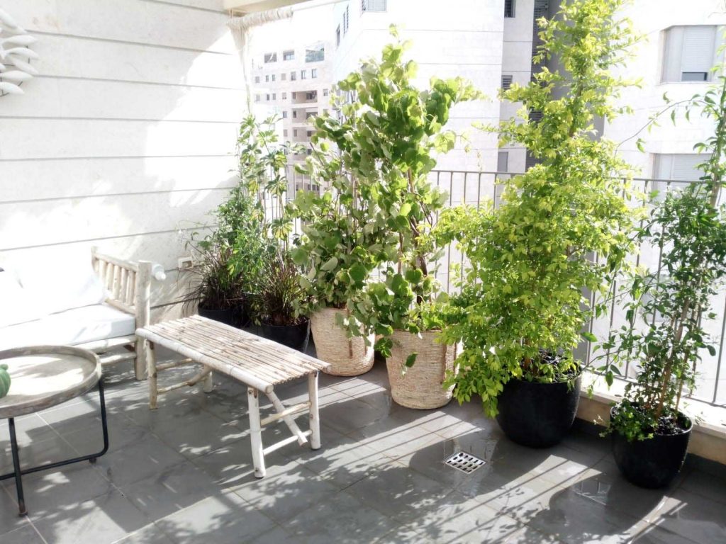 עיצוב מרפסת קטנה עם צמחייה ירוקה המוסיפה לכל מרפסת קטנה או לגינות גג