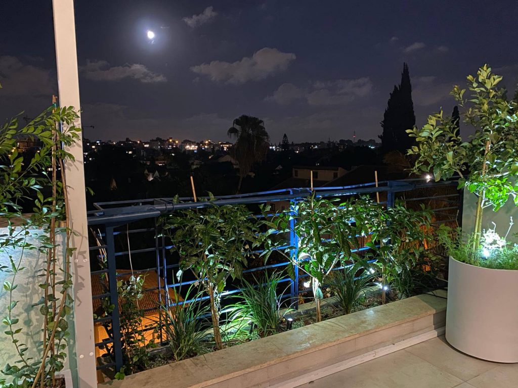 צילום לילה של גינת מרפסת ברעננה