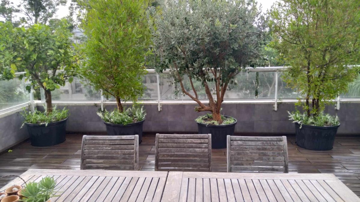פרויקט עיצוב והקמה של מרפסת פנטהאוז על גג דירה בהרצליה