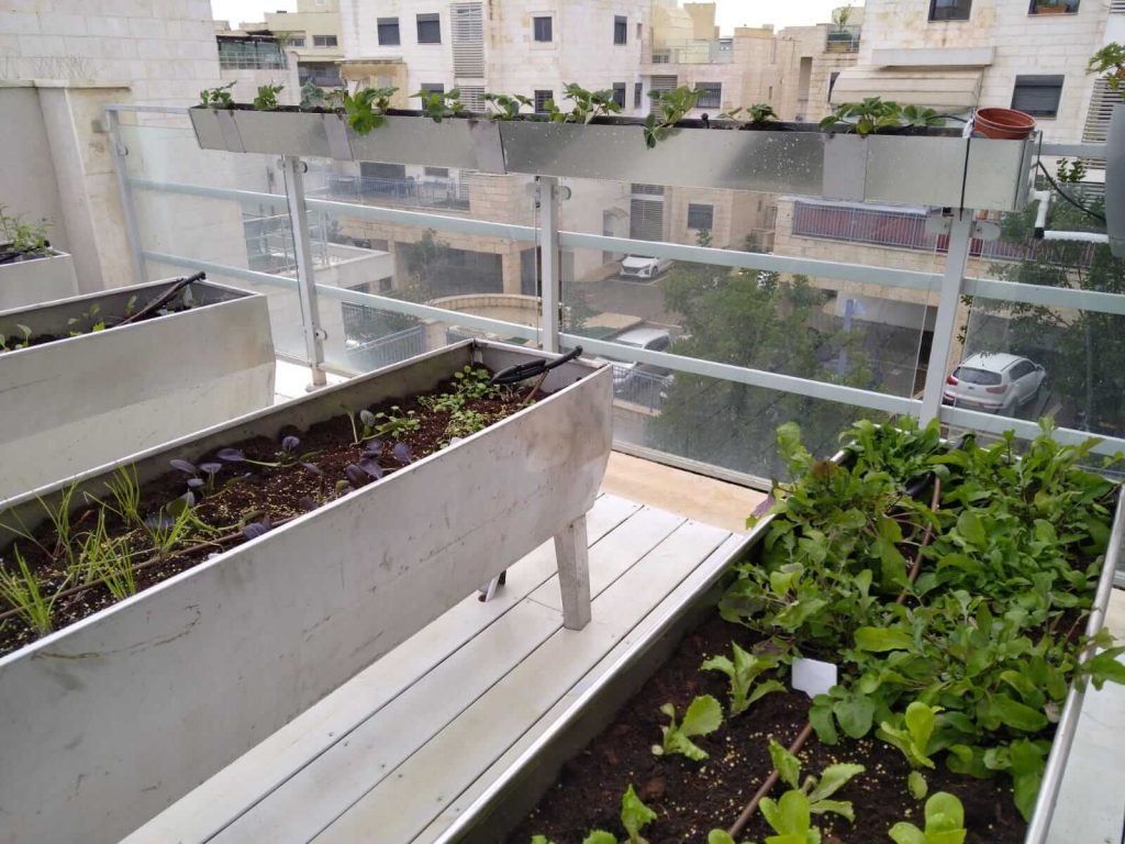 אדניות אלומיניום מיוחדות עבור גינת ירק לגידול ירקות וצמחי תבלין במרפסת בפנטהאוז במודיעין