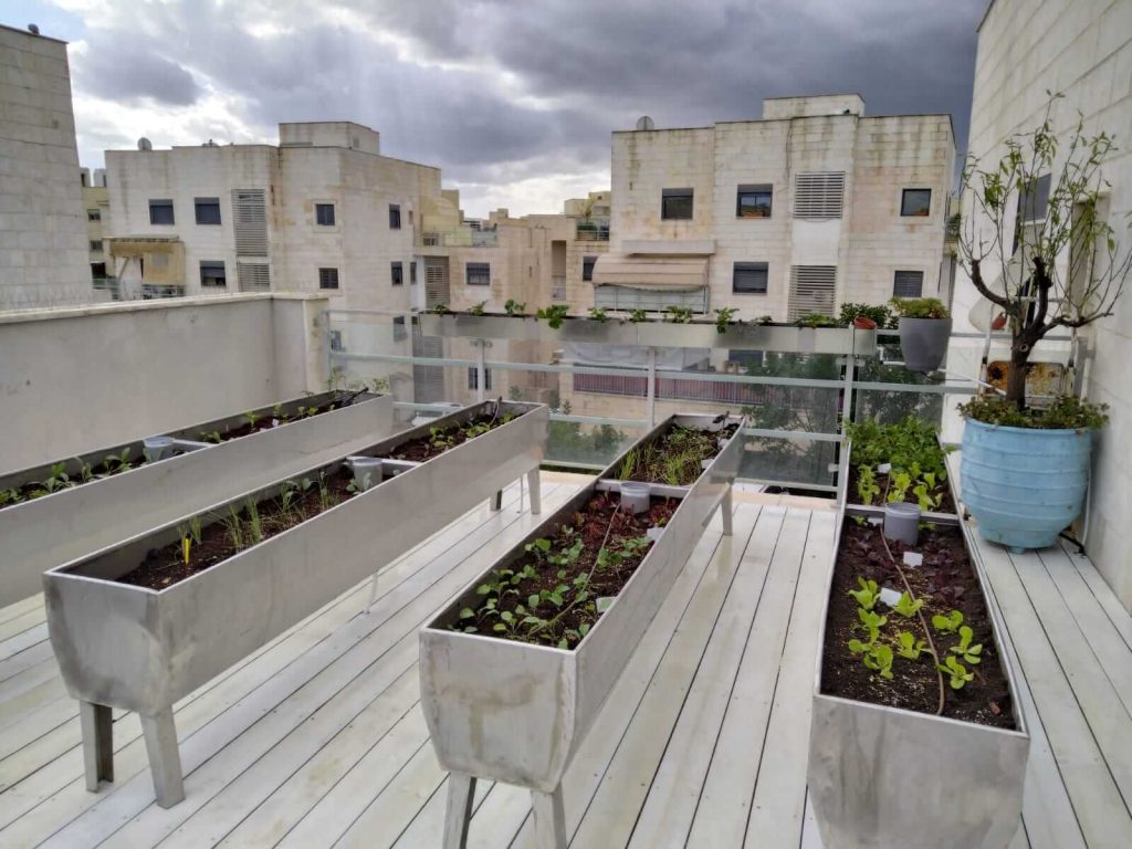 מרפסת פנטהאוז בדירה במודיעין בה הוקמו אדניות אלומיניום מיוחדות לצורך גידול אקולוגי של ירקות בגינה