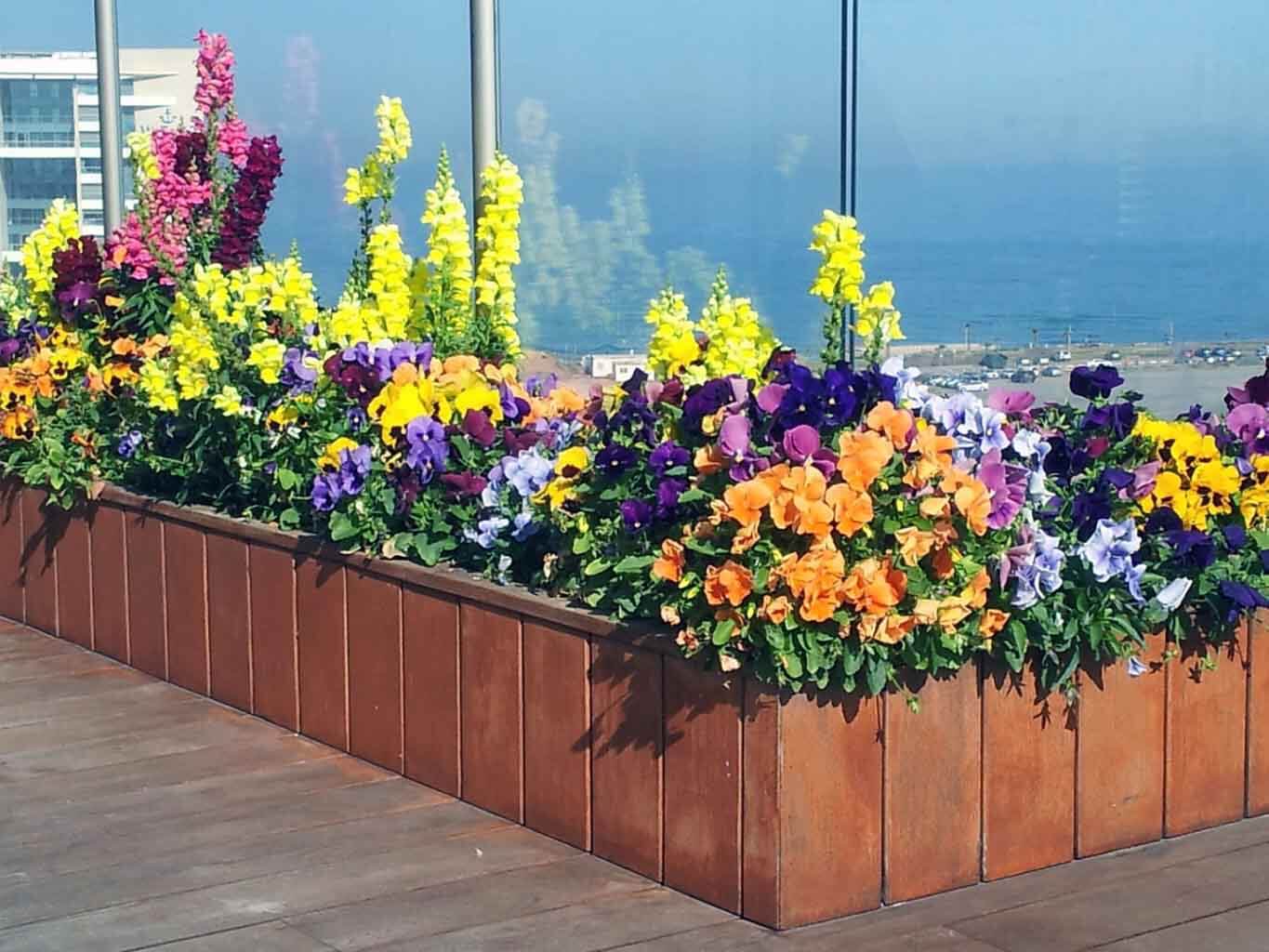 אדניות עם פרחים צבעוניים בגינת גג על מרפסת 10 מטר - גן בגג