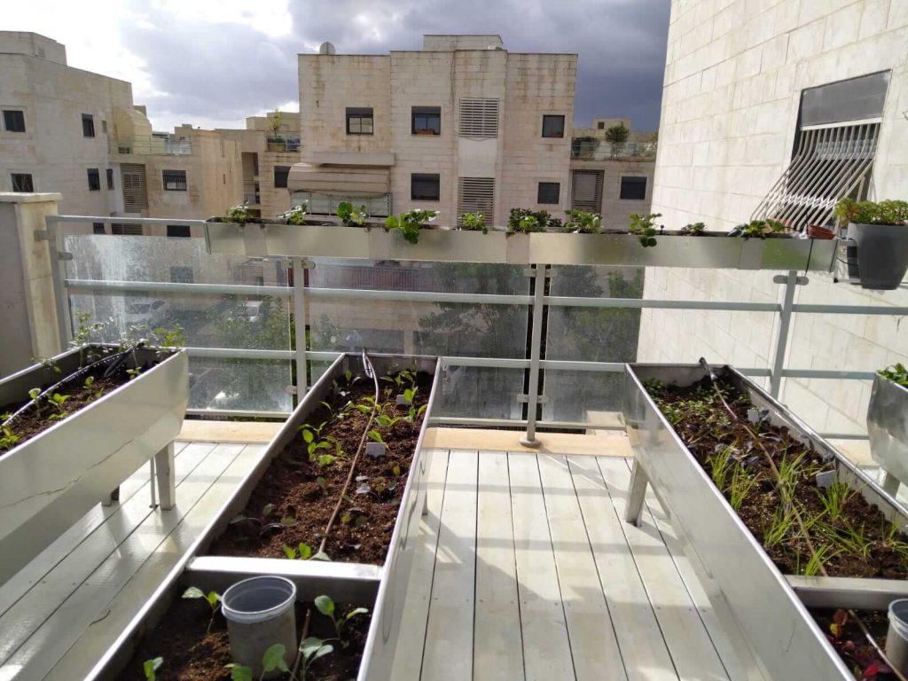 גינת ירק מעוצבת בפרוייקט פנטהאוז במודיעין - גן בגג