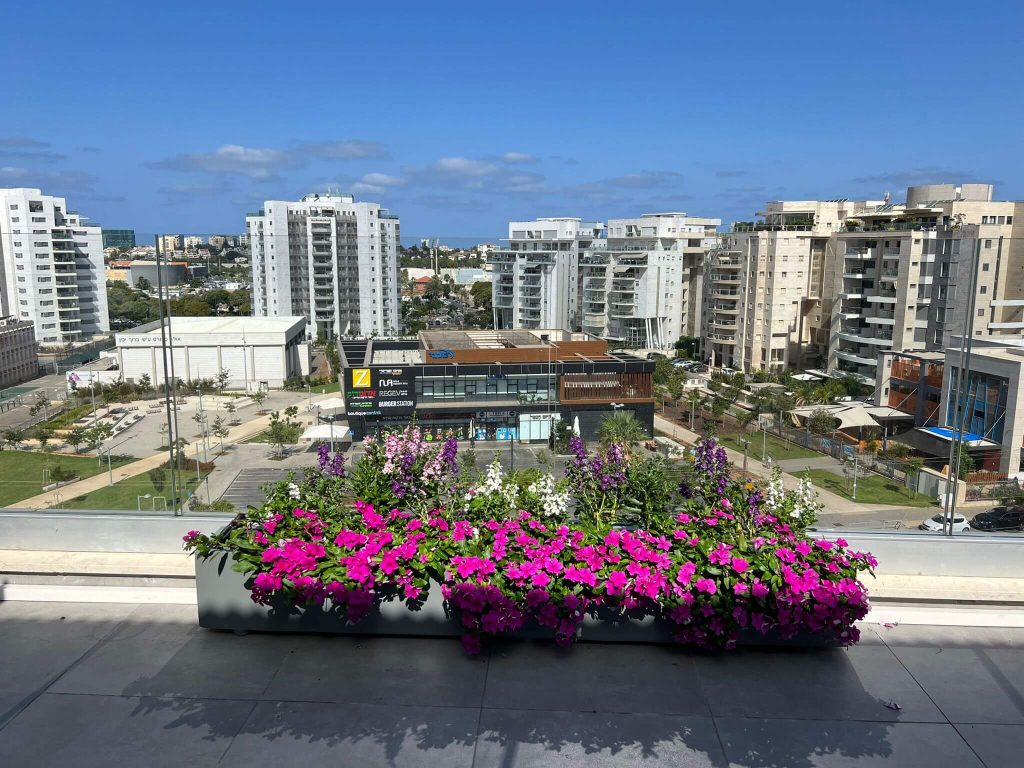 צמחיה יפה בגוון ורוד על אדניות מותאמות אישית לצד נוף הרצליה במרפסת גדולה על גג - גן בגג