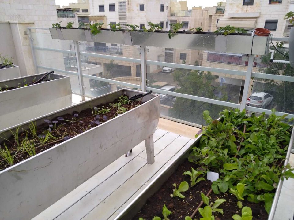 אדניות אלומיניום מיוחדות בגינת ירק עם צמחי תבלין בפרוייקט במודיעין