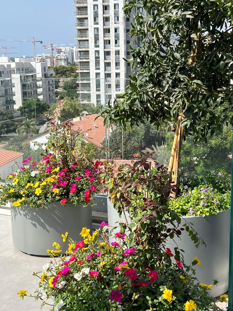 מגוון צמחים באדניות ומיכלי שתילה עבור מרפסת גג מעוצבת בפרוייקט בהרצליה - גן בגג