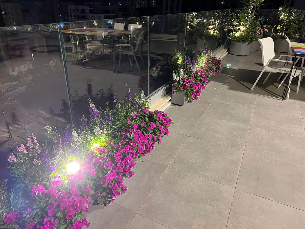 פרחים ורודים לצד תאורת לילה במיכלי שתילה ואדניות בהתאמה אישית - פרוייקט גינה על גג בהרצליה - גן בגג
