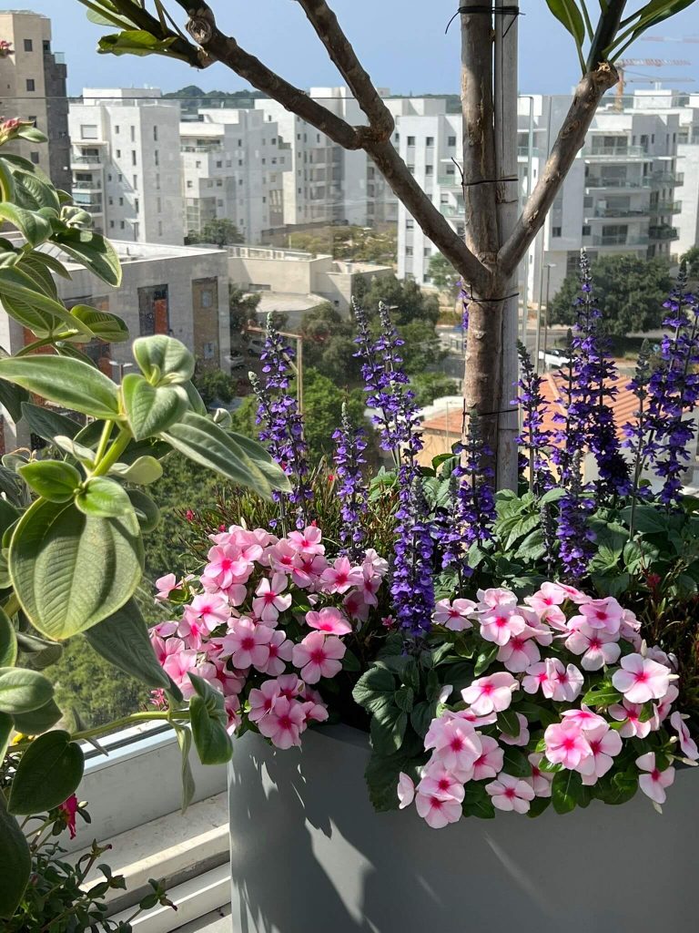 פרחים מגוונים במיכל שתילה לצד נוף מרהיב על גינה במרפסת - גן בגג