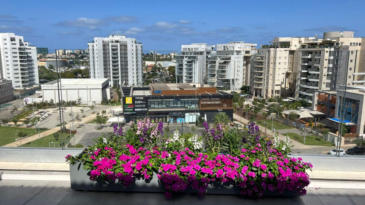 צמחיה יפה בגוון ורוד על אדניות מותאמות אישית לצד נוף הרצליה במרפסת גדולה על גג - גן בגג