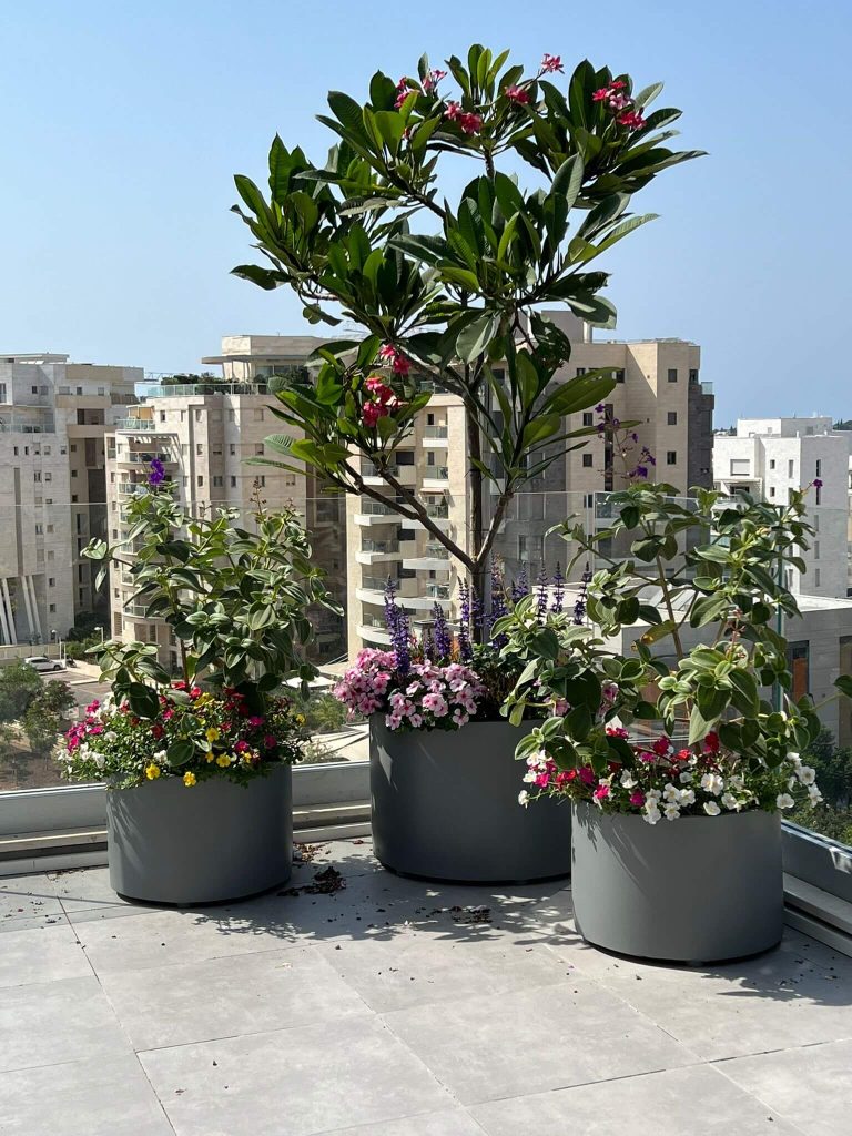 צמחייה מגוונת לגינה במרפסת על הגג ומיכלי שתילה בהתאמה אישית - גן בגג
