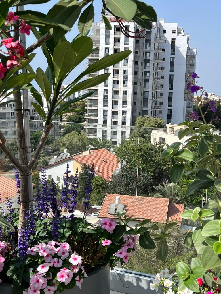 צמחייה מגוונת על מרפסת גג - גינה על גג בהרצליה - גן בגג