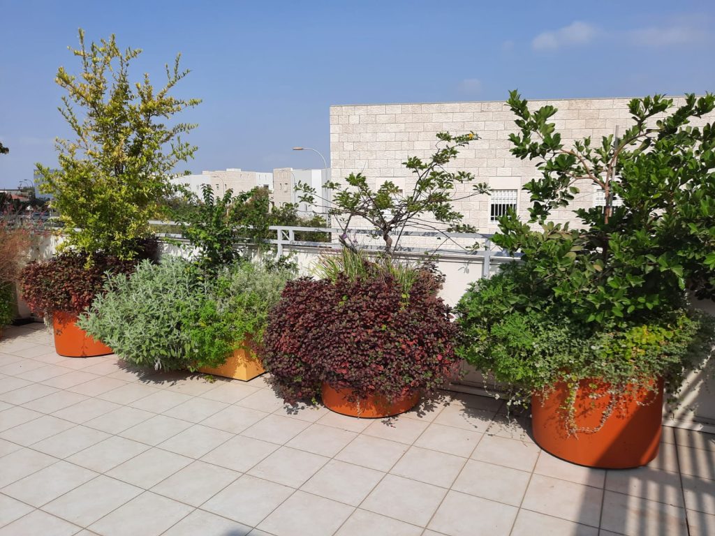 פרוייקט במודיעין - הוספת צמחייה על מרפסת גג גדולה - גן בגג