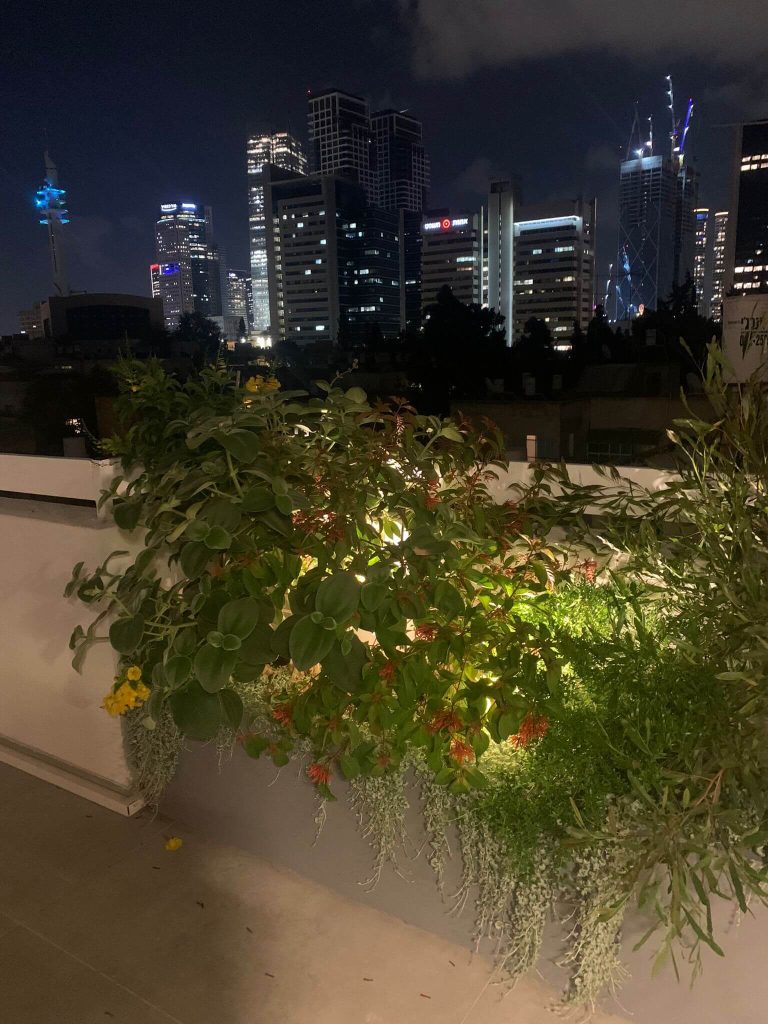 דק פרי וצמחי תבלין מעורבבים - פרוייקט בתל אביב - גן בגג