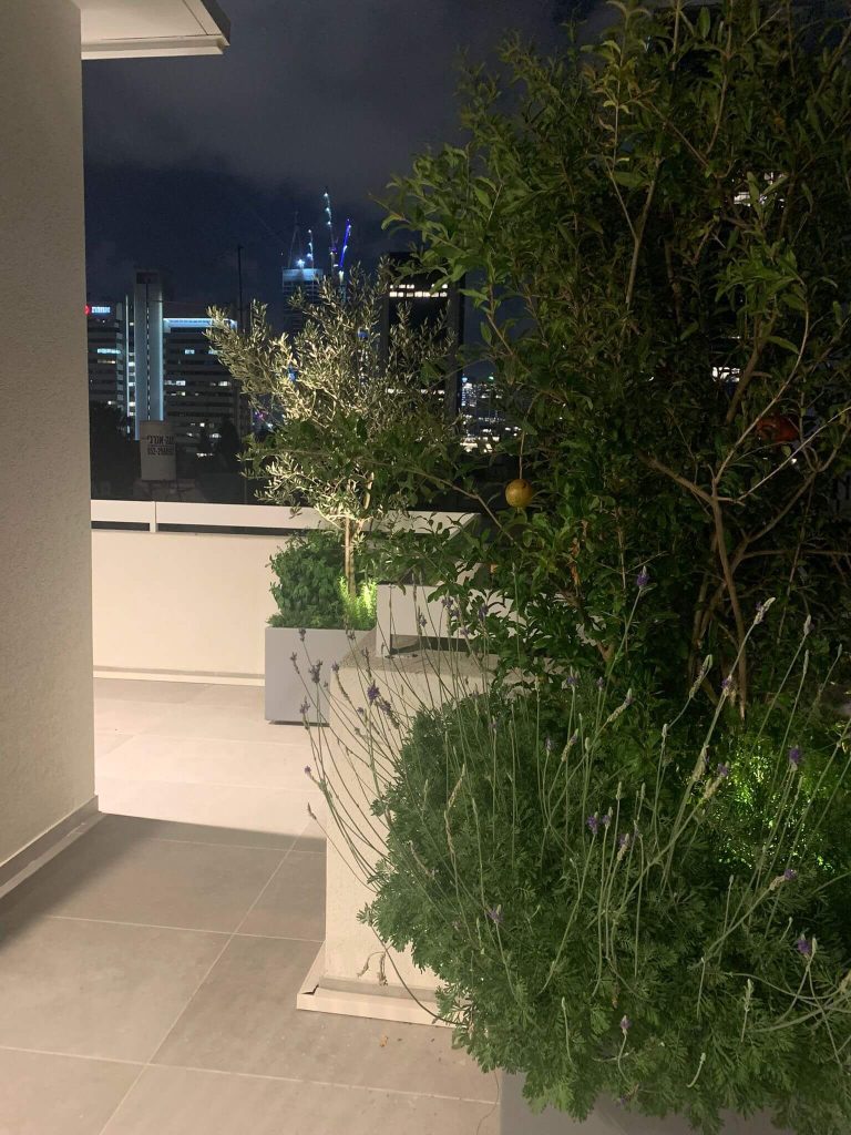 צמחיה ירוקה על גינה במרפסת בפרוייקט בתל אביב