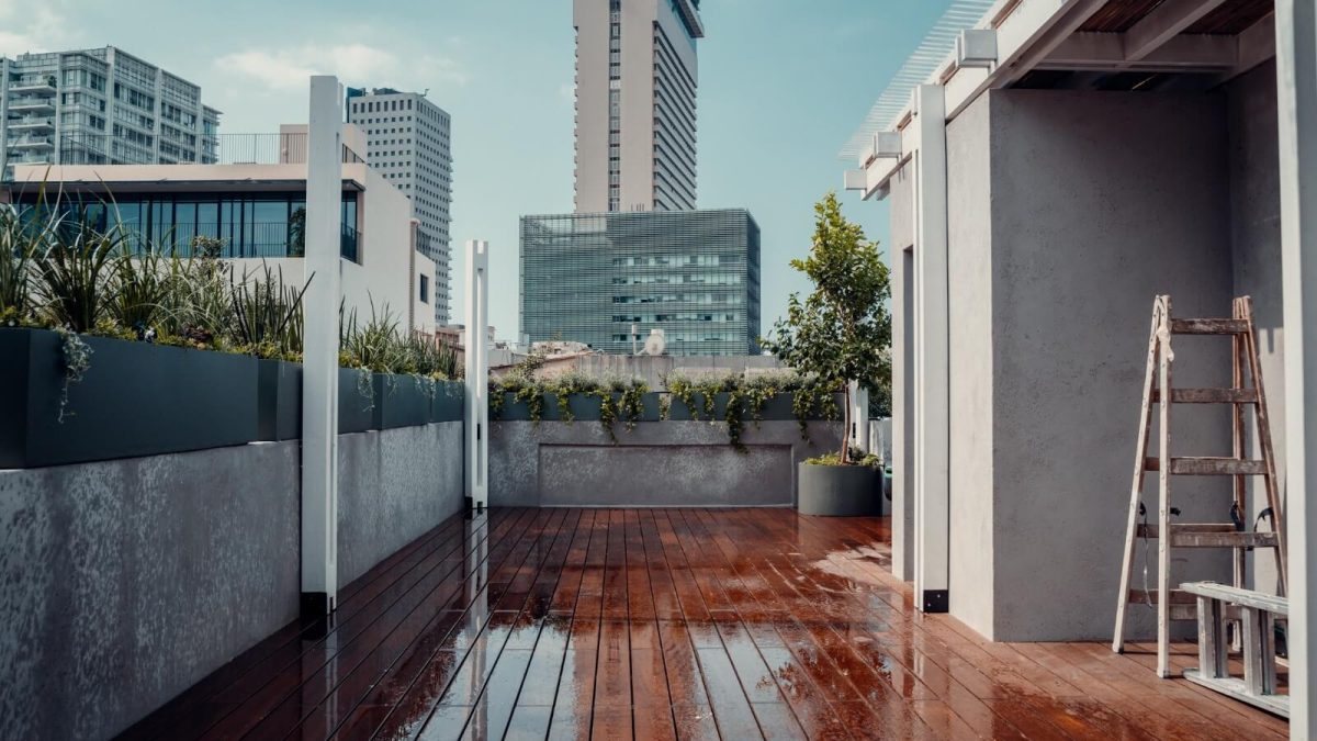 פרויקט הקמת גינת גג במרכז תל אביב עם צמחיה ירוקה ומטפסת על גג באלנבי תל אביב - גן בגג
