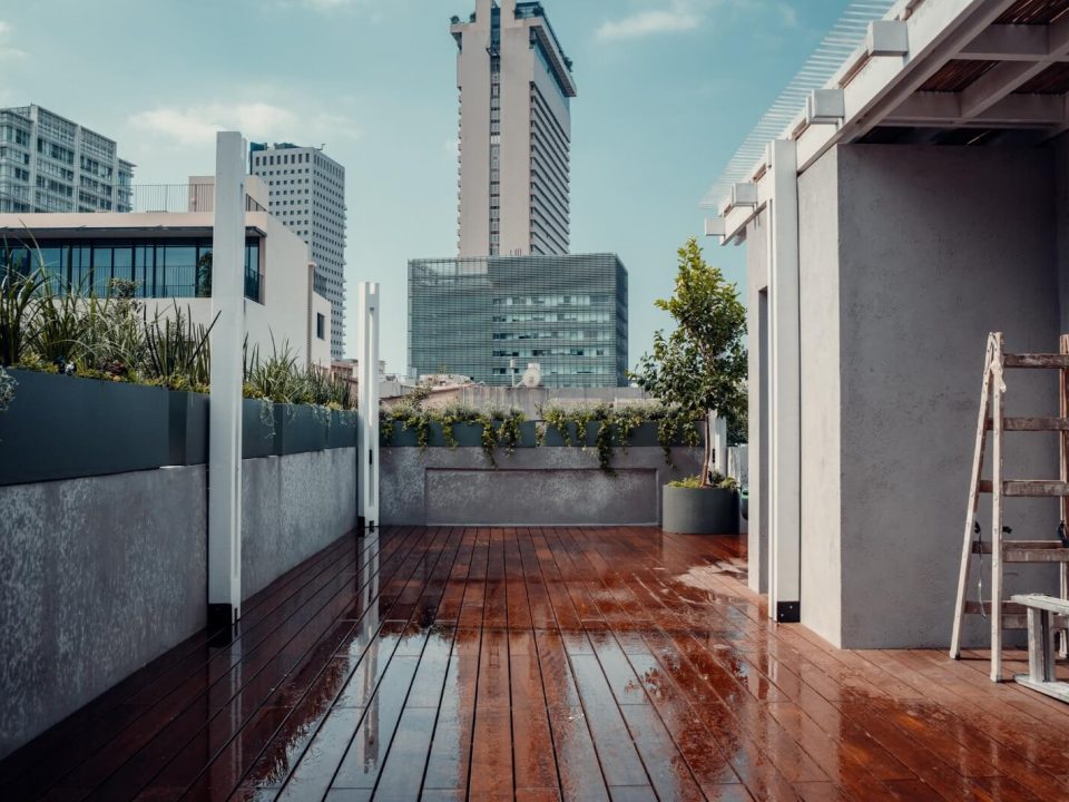 פרויקט הקמת גינת גג במרכז תל אביב עם צמחיה ירוקה ומטפסת על גג באלנבי תל אביב - גן בגג
