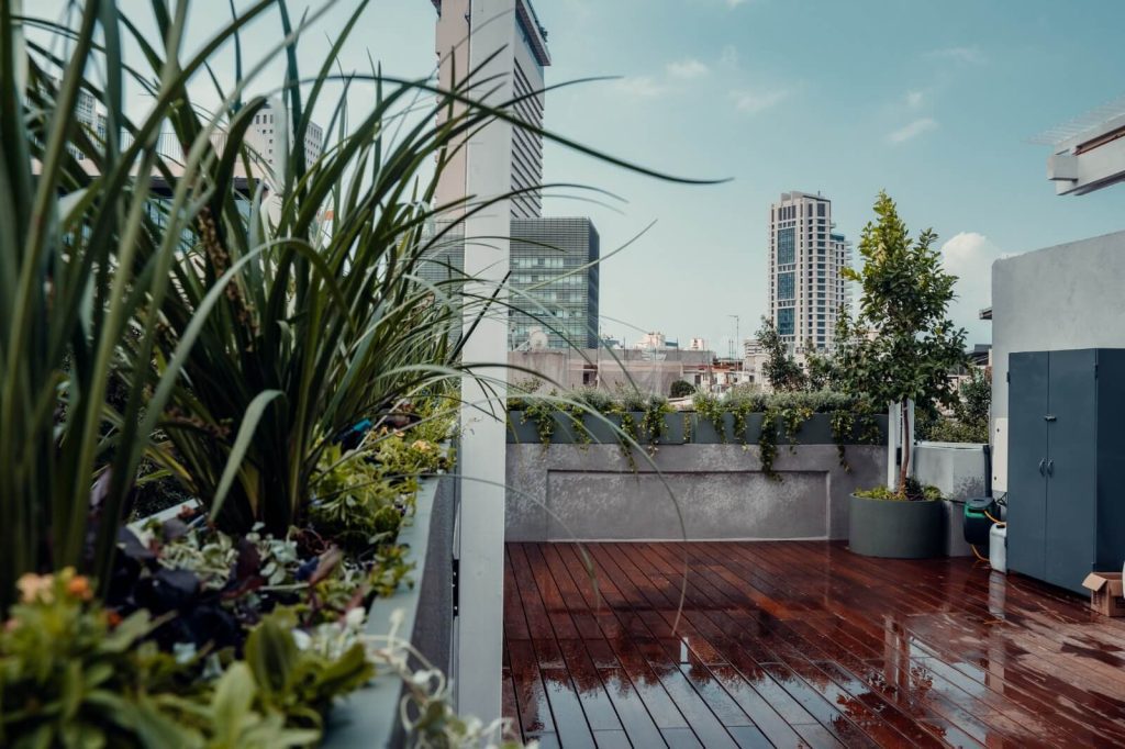 צמחים ועצים על גג מרפסת גדולה וצרה באלנבי תל אביב - גן בגג