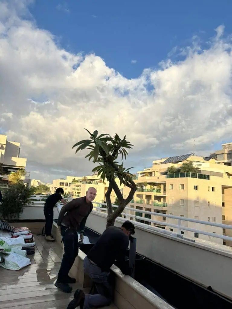 צוות העבודה בזמן שתילת העצים