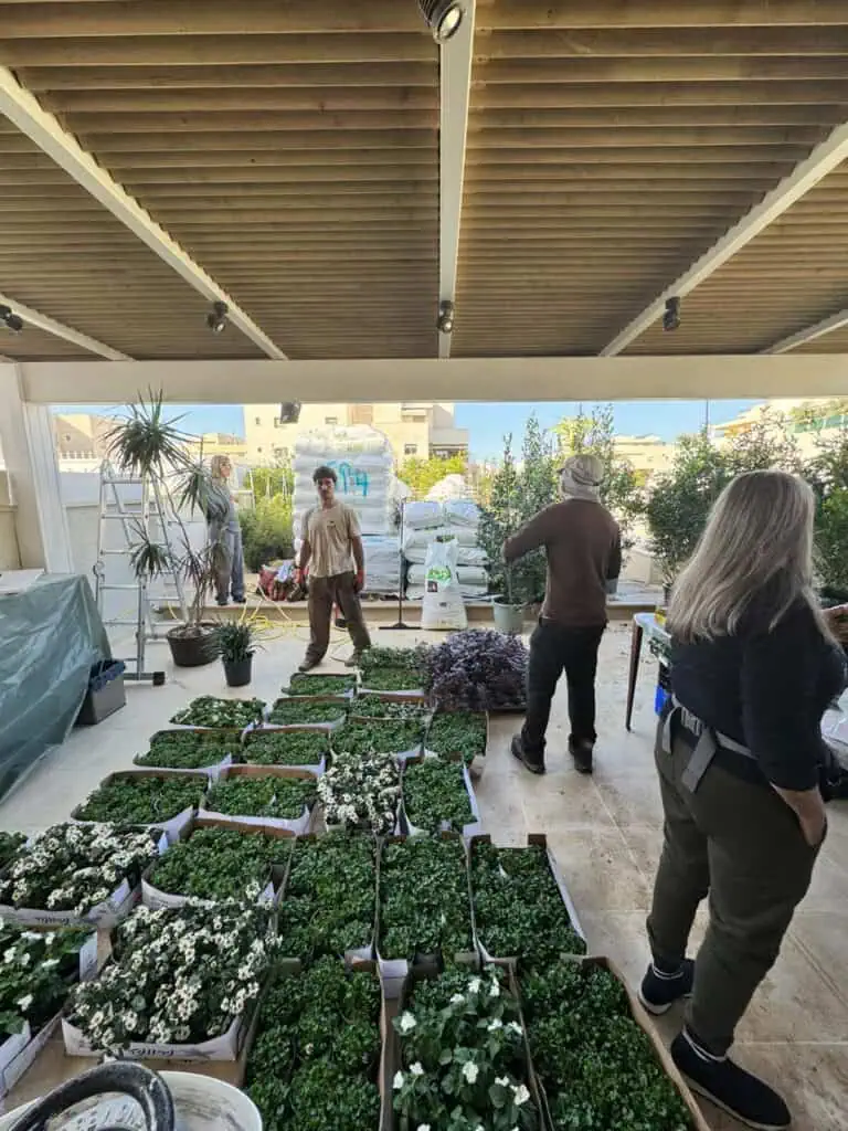 צילום הצמחייה לפני השתילה